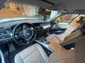 BMW X5 X5 E70 xdrive30d (3.0d) auto Bianco - thumbnail 11