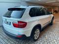 BMW X5 X5 E70 xdrive30d (3.0d) auto Bianco - thumbnail 4