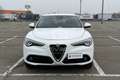 Alfa Romeo Stelvio Stelvio 2.2 Turbodiesel 210 CV AT8 Q4 Super Weiß - thumbnail 2