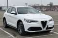 Alfa Romeo Stelvio Stelvio 2.2 Turbodiesel 210 CV AT8 Q4 Super Weiß - thumbnail 3