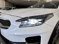 Kia XCeed 1.6 crdi mhev Evolution 136cv dct Bianco - thumbnail 21