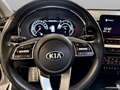 Kia XCeed 1.6 crdi mhev Evolution 136cv dct Bianco - thumbnail 12