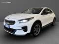 Kia XCeed 1.6 crdi mhev Evolution 136cv dct Bianco - thumbnail 1