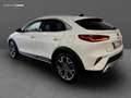 Kia XCeed 1.6 crdi mhev Evolution 136cv dct Bianco - thumbnail 7