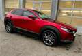 Mazda CX-30 X186 GT+/SO/PR/TE in höchster Ausstattung Rot - thumbnail 8