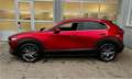 Mazda CX-30 X186 GT+/SO/PR/TE in höchster Ausstattung Rot - thumbnail 2