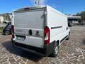 Fiat Ducato 30 2.2 MJT 120 CV MH1 PASSO MEDIO TETTO BASSO Bianco - thumbnail 8
