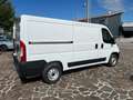 Fiat Ducato 30 2.2 MJT 120 CV MH1 PASSO MEDIO TETTO BASSO Bianco - thumbnail 9