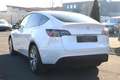 Tesla Model Y Long Range Dual AWD +MWST+PANO+AHK+1.HAND+ Weiß - thumbnail 8