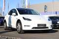 Tesla Model Y Long Range Dual AWD +MWST+PANO+AHK+1.HAND+ Weiß - thumbnail 5