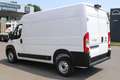 Fiat Ducato Ducato MAXI 35 L2H2 140 10" Nav Kamera Digi Inn... Weiß - thumbnail 4