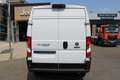 Fiat Ducato Ducato MAXI 35 L2H2 140 10" Nav Kamera Digi Inn... Weiß - thumbnail 5
