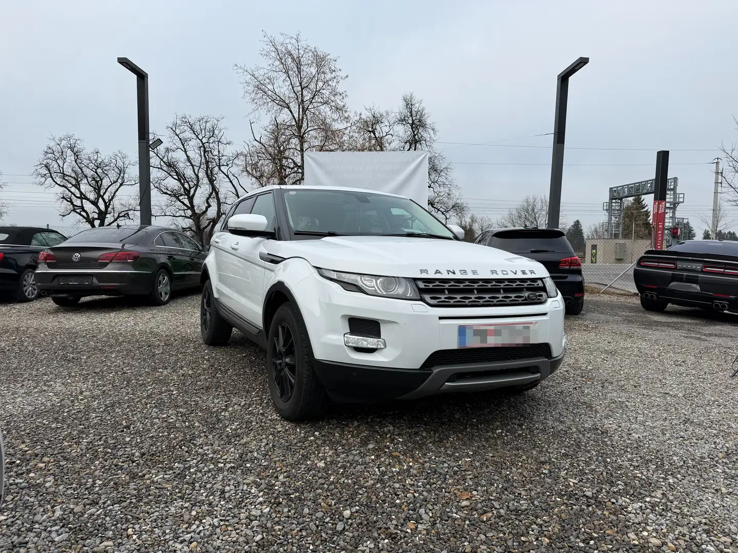 Land Rover Range Rover Evoque Range Rover Evoque Dynamic 2,2 SD4 Aut. Dynamic Weiß - 1