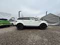Land Rover Range Rover Evoque Range Rover Evoque Dynamic 2,2 SD4 Aut. Dynamic Weiß - thumbnail 6