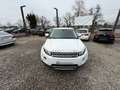 Land Rover Range Rover Evoque Range Rover Evoque Dynamic 2,2 SD4 Aut. Dynamic Weiß - thumbnail 7