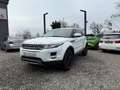 Land Rover Range Rover Evoque Range Rover Evoque Dynamic 2,2 SD4 Aut. Dynamic Weiß - thumbnail 8