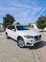 BMW X5 X5 xDrive 30dA Blanco - thumbnail 1