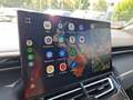 Wey Premium Navi Matrix-LED ACC Infinity Sound Blanc - thumbnail 22