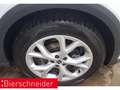 SEAT Arona 1.0 TSI DSG FR AB 195EUR NAVI REAR VIEW SHZ Weiß - thumbnail 10