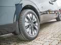 Hyundai STARIA 2.2 Signature 2WD SITZBELÜFTUNG LED Blau - thumbnail 3