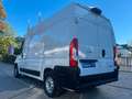 Opel Movano C Kasten/Kombi  L2H2 SORTIMO REGALE/EUR6 Blanc - thumbnail 7