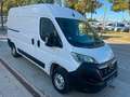 Opel Movano C Kasten/Kombi  L2H2 SORTIMO REGALE/EUR6 Blanc - thumbnail 4