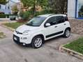Fiat Panda Panda III 2021 1.0 firefly hybrid s Bianco - thumbnail 1