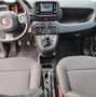 Fiat Panda Panda III 2021 1.0 firefly hybrid s Bianco - thumbnail 14