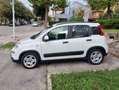 Fiat Panda Panda III 2021 1.0 firefly hybrid s Bianco - thumbnail 5