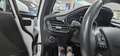Ford Fiesta 5-Türer 1.0 EcoBoost S&S ACTIVE Led PPS 63 kW (86 Weiß - thumbnail 18