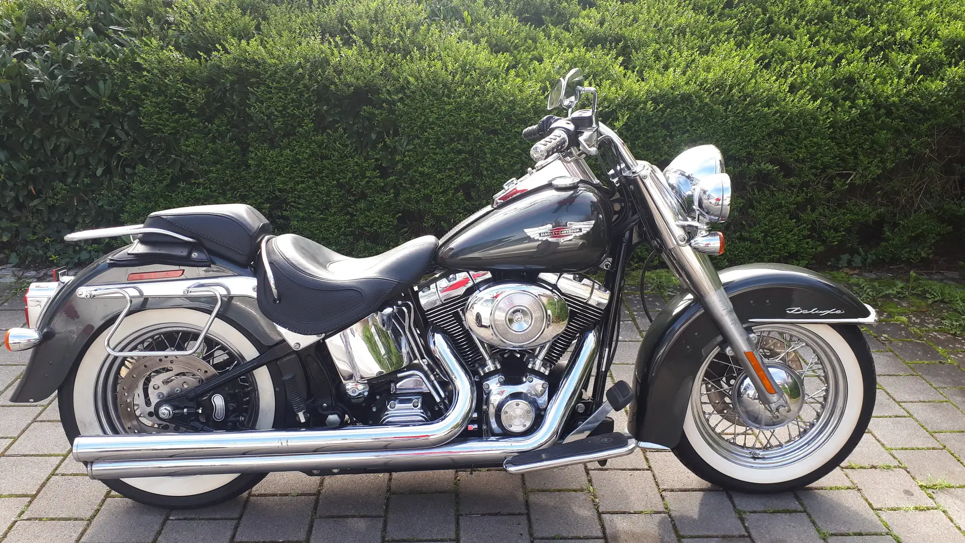 Harley-Davidson Softail deluxe Gris - 1