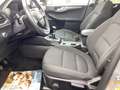 Ford Kuga Titanium / Winter-Paket Plateado - thumbnail 11
