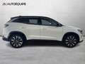 Renault Austral 2023 1.2 E-Tech full hybrid Techno 200cv auto Blanc - thumbnail 6