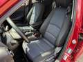 Mazda 2 L 1.5L SKYACTIV-G 90 hp 5T 5GS Exclusive Sitzheiz Rot - thumbnail 11