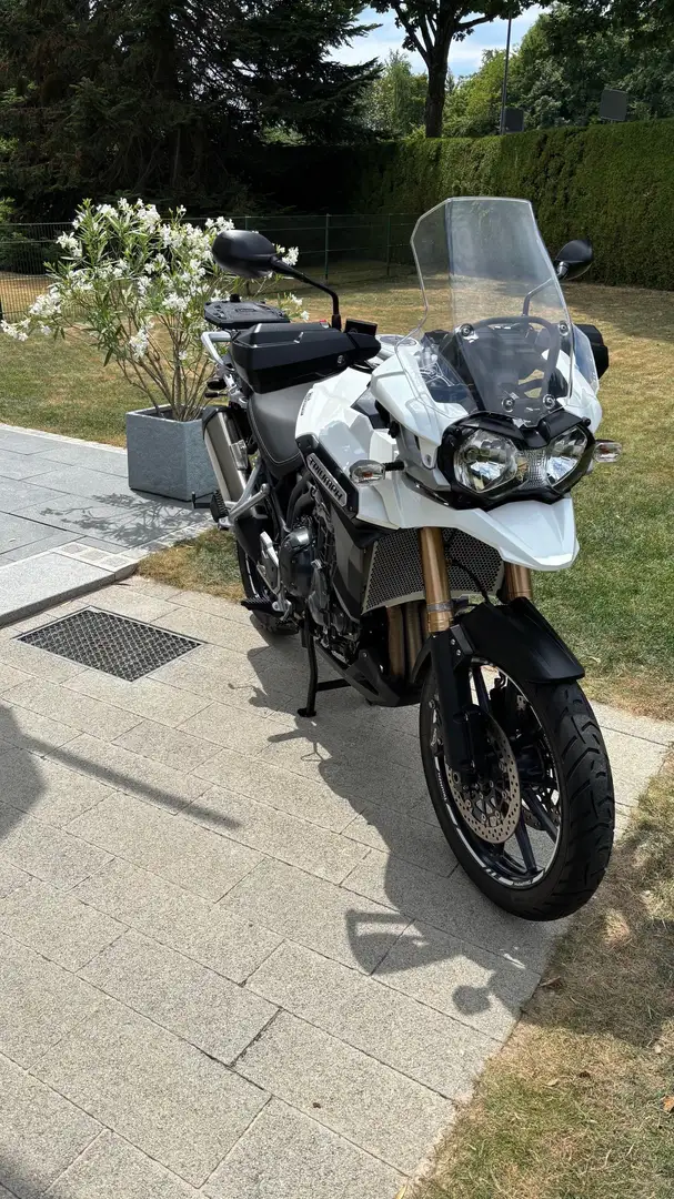 Triumph Tiger Explorer 1200 Biały - 2