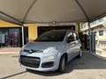 Fiat Panda Panda 1.0 firefly hybrid City Cross s Grigio - thumbnail 1