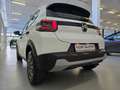 Citroen C3 PureTech 100 S&S Plus Bianco - thumbnail 7