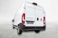 Fiat Ducato Blanc - thumbnail 4