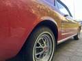 Ford Mustang Coupe V 8 289 Zeer Mooie Auto Rot - thumbnail 18