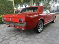 Ford Mustang Coupe V 8 289 Zeer Mooie Auto Rot - thumbnail 2