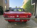 Ford Mustang Coupe V 8 289 Zeer Mooie Auto Rot - thumbnail 26