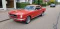 Ford Mustang Coupe V 8 289 Zeer Mooie Auto Rot - thumbnail 36