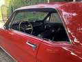 Ford Mustang Coupe V 8 289 Zeer Mooie Auto Rot - thumbnail 13