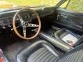 Ford Mustang Coupe V 8 289 Zeer Mooie Auto Rot - thumbnail 23