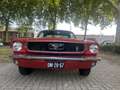 Ford Mustang Coupe V 8 289 Zeer Mooie Auto Rot - thumbnail 22