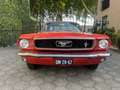Ford Mustang Coupe V 8 289 Zeer Mooie Auto Rot - thumbnail 29