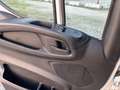 Iveco Daily 35C14 BTor 2.3 HPT PL-RG Cabinato Blanco - thumbnail 8