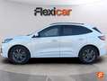 Ford Kuga 2.5 Duratec PHEV ST-Line 4x2 Blanc - thumbnail 5