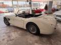 Austin-Healey 3000 Austien bt7 2+2 od Beige - thumbnail 2