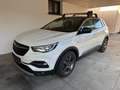 Opel Grandland X 1,5 Diesel Ultimate Aut. LED-AHK-Carplay Weiß - thumbnail 1